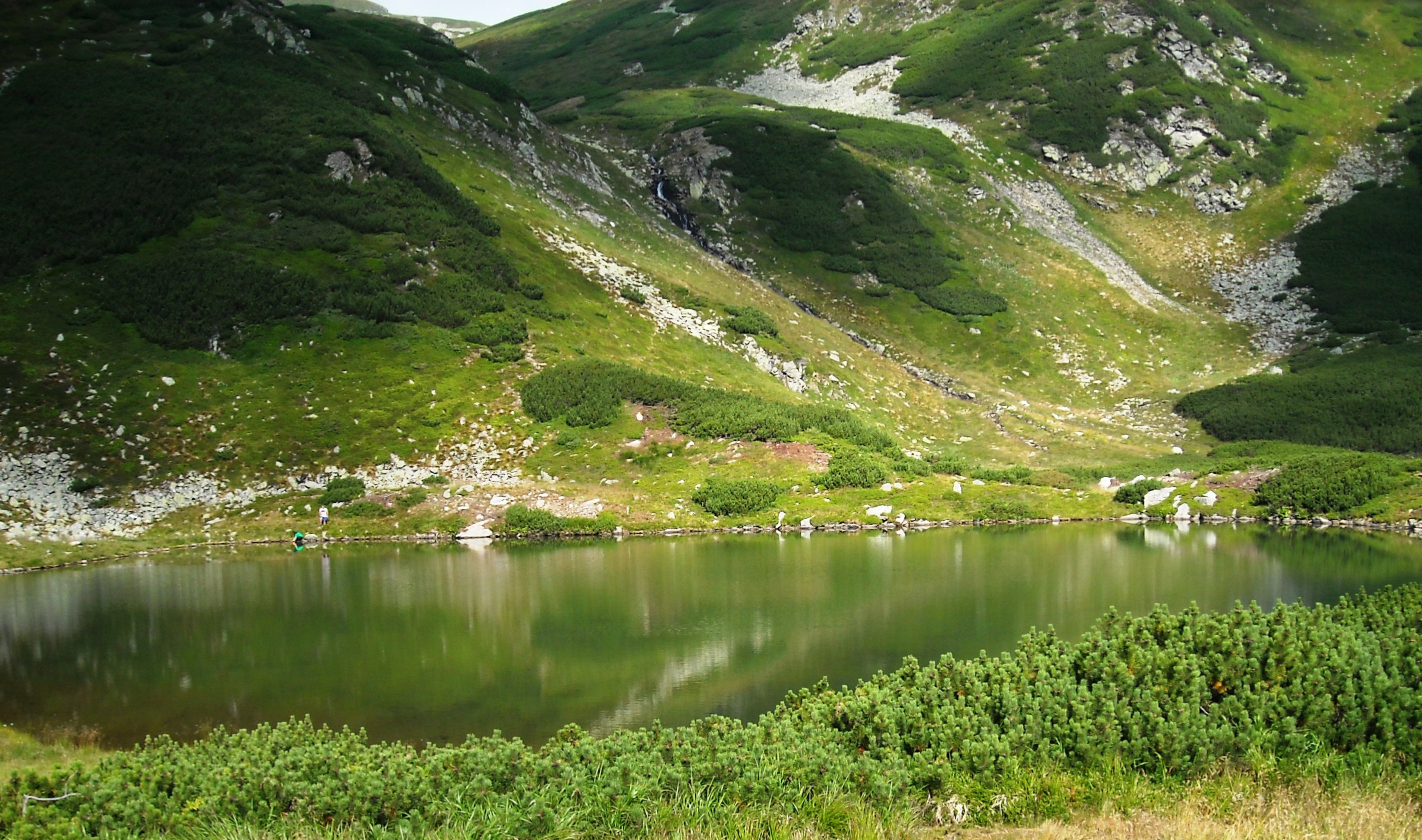 Lacul Lala Mare Muntii Rodnei